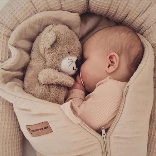 DreamBuddy Baby Teddy 💗 (Pack of 2)